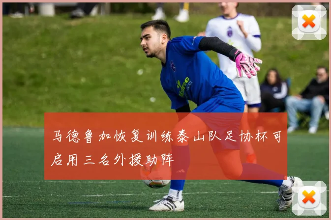 马德鲁加恢复训练泰山队足协杯可启用三名外援助阵