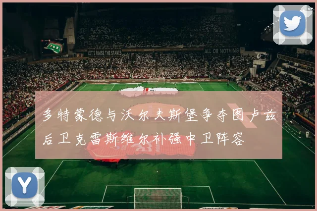多特蒙德与沃尔夫斯堡争夺图卢兹后卫克雷斯维尔补强中卫阵容