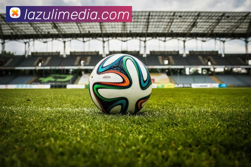 奖项证书